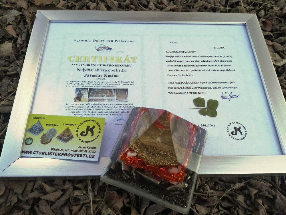 019) 13.02.2024 MDDR Kral